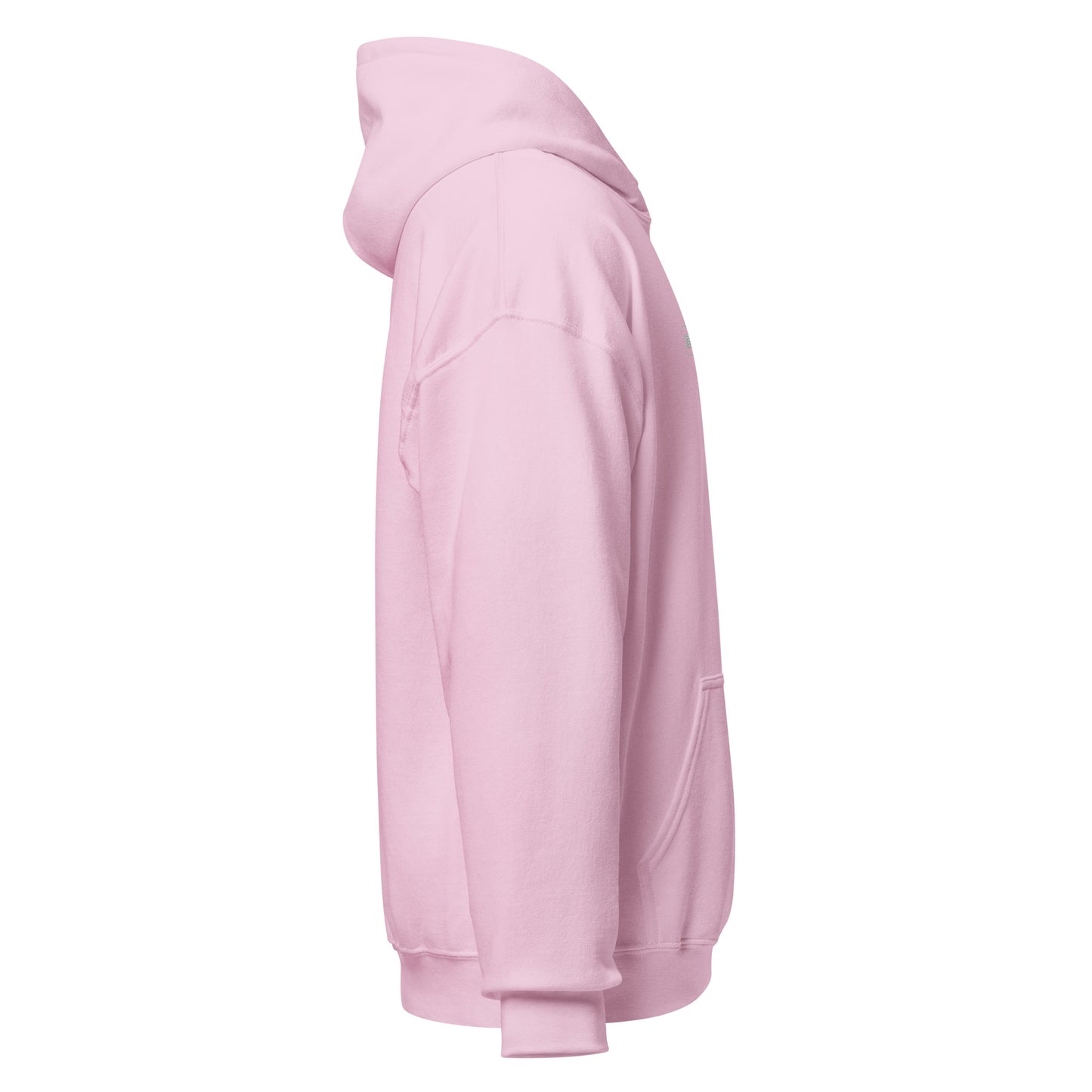 Summer Antics Embroidered Hoodie