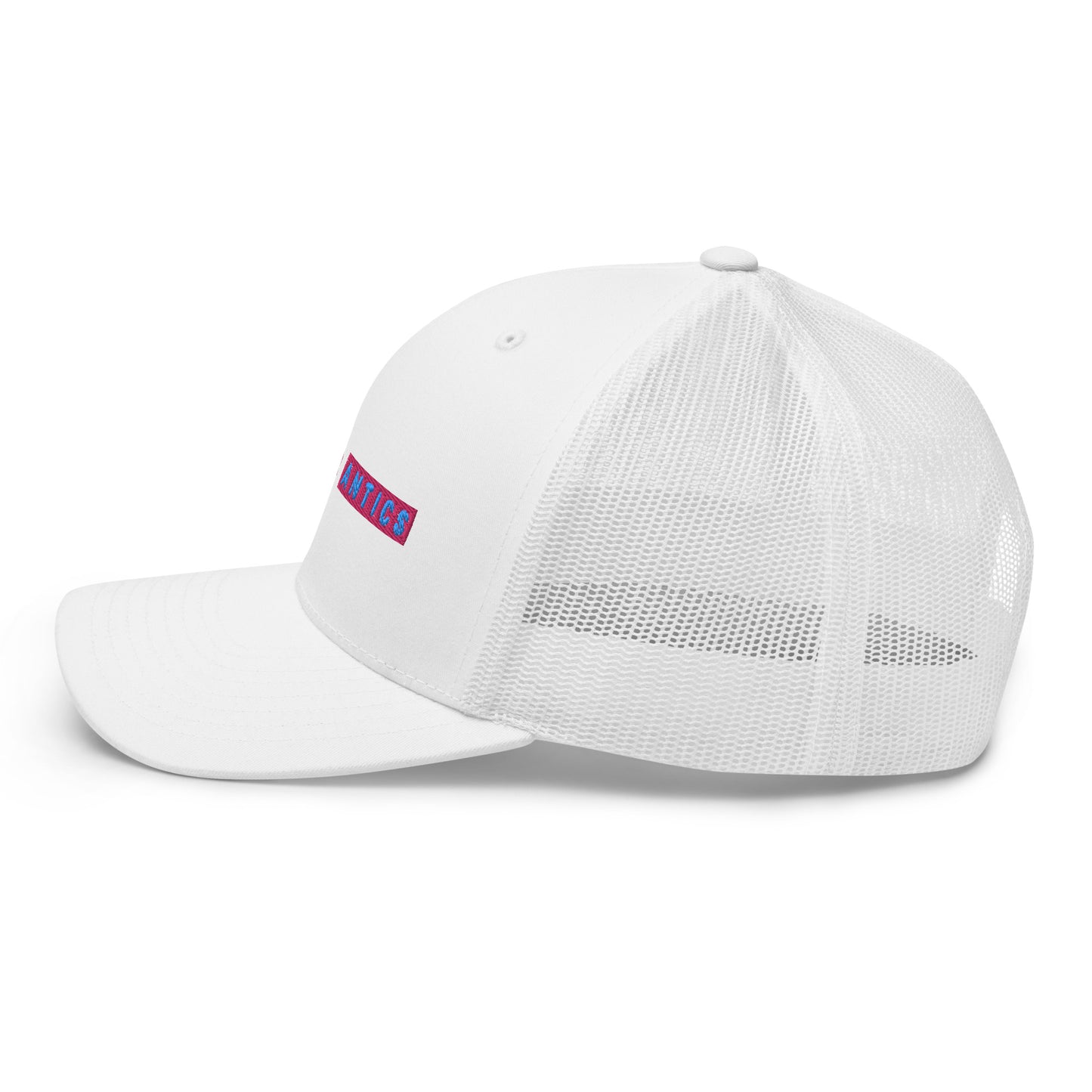 Summer Antics Mesh Cap